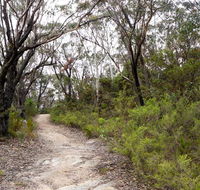 Six Foot walking track - Attractions Sydney