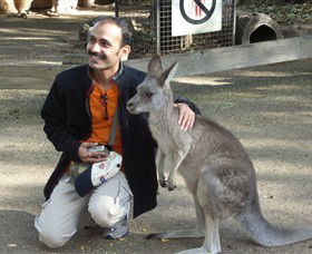 Activity Tours Australia - Attractions Sydney 3