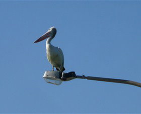 Bailey's Sydney - Tours For People Who Don't Like Tours - Attractions Sydney 3