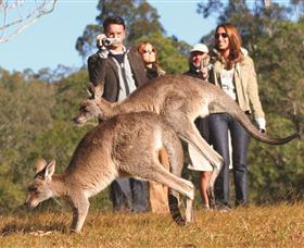 Boutique Tours Australia - Attractions Sydney 2