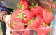 Mia Cucina Walking Food Tours - thumb 5