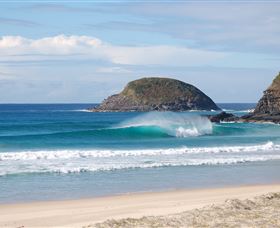 Surfaris Surf Camp - Attractions Sydney 4