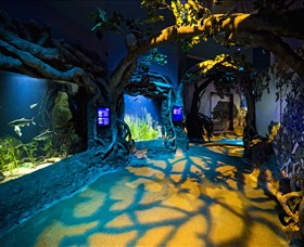 SEA LIFE Sydney Aquarium - Attractions Sydney 2