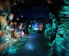 SEA LIFE Sydney Aquarium - Attractions Sydney 3