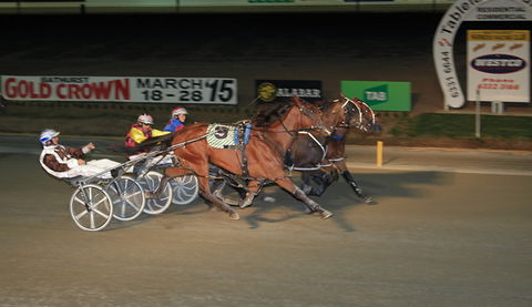 Bathurst Harness Racing Club - Attractions Sydney 3