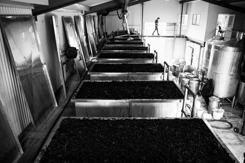 Clonakilla Wines - Attractions Sydney 9