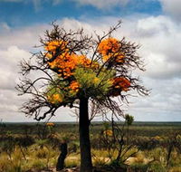The Delmar Gallery - Attractions Sydney