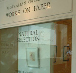Australian Galleries - Roylston Street - Attractions Sydney 1