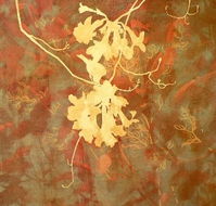 Fellia Melas Gallery - Attractions Sydney