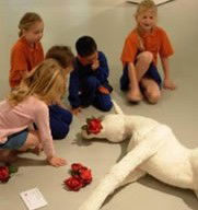  Attractions Sydney