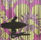 Iain Dawson Gallery - Attractions Sydney 2