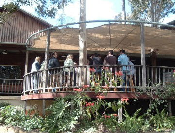 Hunter Vineyard Tours - Attractions Sydney 0