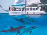 Imagine Cruises - Attractions Sydney 2