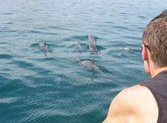 Tex Tours - Attractions Sydney 3