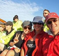 Byron Bay Whale Watching - Attractions Sydney