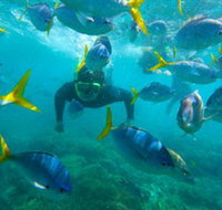 G Adventures - Attractions Sydney