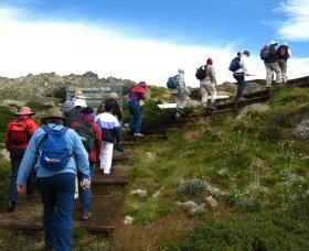 High Country Motel Tours - Attractions Sydney 2