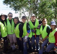 Conservation Volunteers Australia - Sydney - Attractions Sydney
