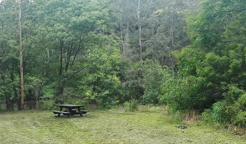 Halfway Point Picnic Area - Attractions Sydney 0