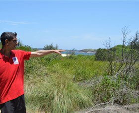 Kadoo Tours - Attractions Sydney 0