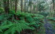 Dalrymple-Hay Nature Reserve - thumb 0