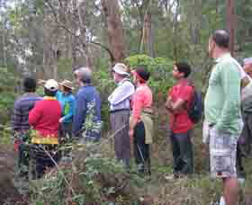 Boronia Tours - Attractions Sydney 0