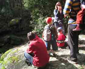 Boronia Tours - Attractions Sydney 2