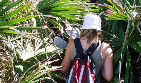 Palm Jungle Loop Track - Attractions Sydney 0