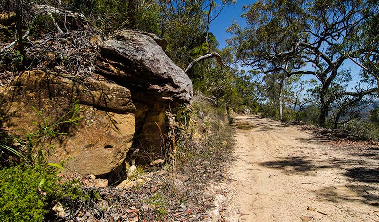 Canoelands Ridge walking track Canoelands