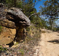 Canoelands Ridge walking track - Attractions Sydney