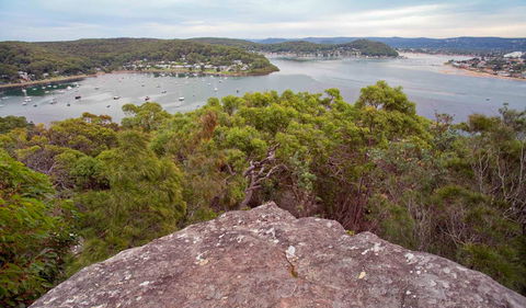 Strom Loop - Attractions Sydney 2