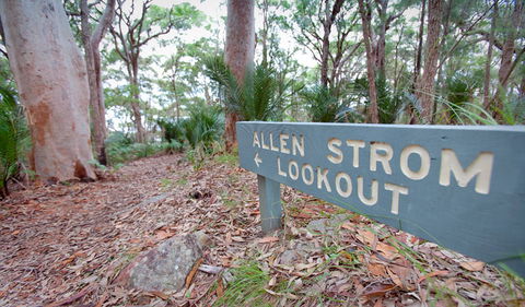 Strom Loop - Attractions Sydney 1