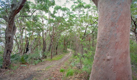 Strom Loop - Attractions Sydney 3