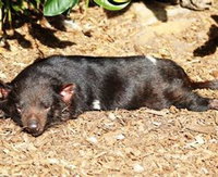 Symbio Wildlife Park