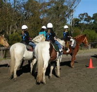 Darkes Forest Riding Ranch - Attractions Sydney
