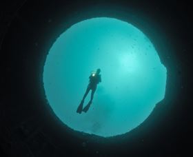 Ex-Hmas Adelaide Dive Site - Attractions Sydney 3