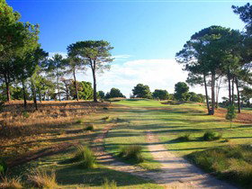 Glenelg Golf Club And Pinehill Bistro - Attractions Sydney 3