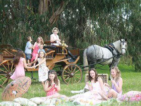 Classic Carriage Drives - Attractions Sydney 1