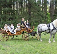 Classic Carriage Drives - Attractions Sydney