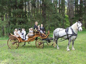 Classic Carriage Drives - Attractions Sydney 0
