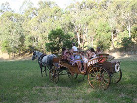 Classic Carriage Drives - Attractions Sydney 3