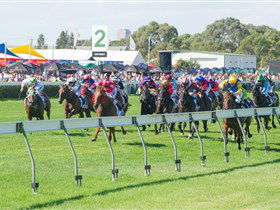 Morphettville Racecourse - Attractions Sydney 0