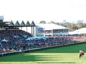 Morphettville Racecourse - Attractions Sydney 1