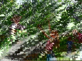 Forest Range ACT Attractions Sydney