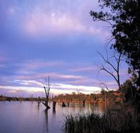 Loch Luna Game Reserve and Moorook Game Reserve - Attractions Sydney