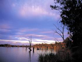 Loch Luna Game Reserve And Moorook Game Reserve - Attractions Sydney 0