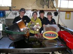 Melba's Chocolate And Confectionery Factory - Attractions Sydney 1