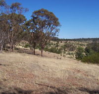 Onkaparinga River National Park - Attractions Sydney