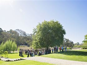 Howard Vineyard - Attractions Sydney 1