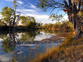 Murray River National Park - Attractions Sydney 0